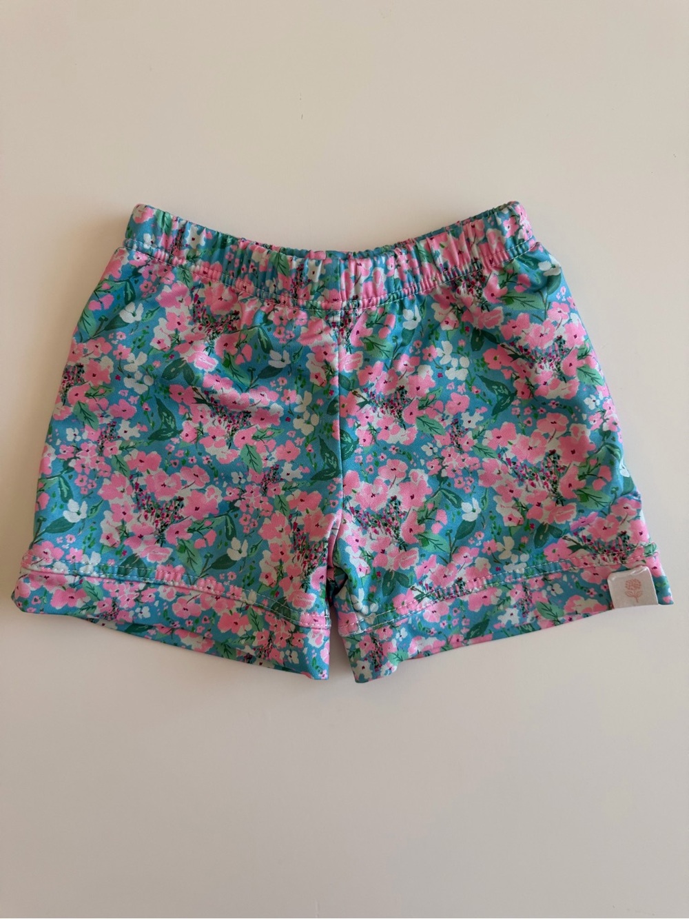 SweetHoney Floral Pull-On Shorts - Pink & Teal